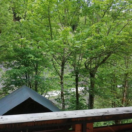 Chalet Au Pont De Flon Le Cornix ภายนอก รูปภาพ